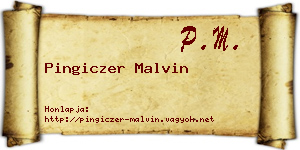 Pingiczer Malvin névjegykártya